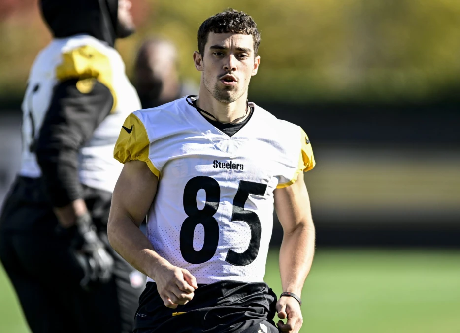 Former Steelers Wide Receiver Cut By NFC Contender