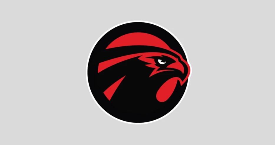 Falcons force 2nd turnover in standout preseason performance