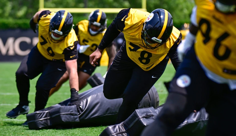 Steelers Rookie Receives Ringing Endorsement from Top Analyst