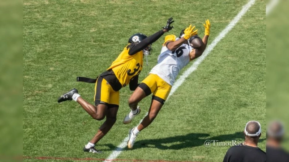 Steelers Stock Watch – WR Robert Woods