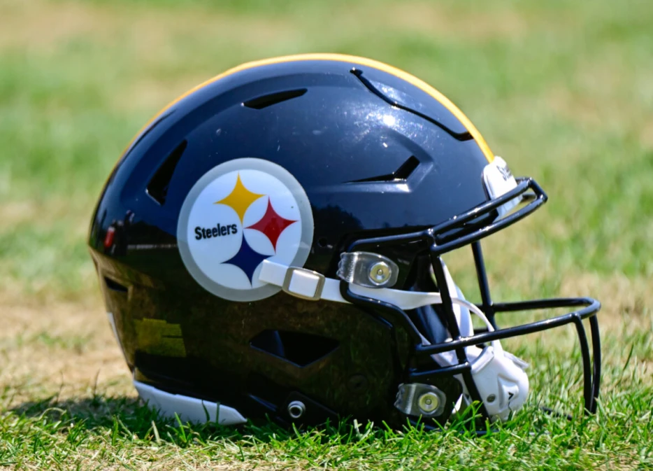 Steelers Work Out 2 LBs, Bring Another One in for Visit