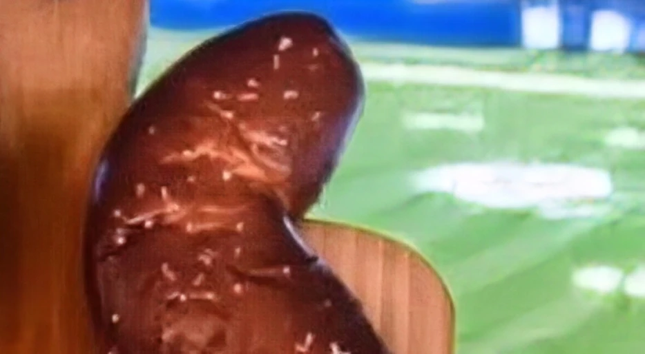 The Indianapolis Colts Have Unveiled A Concession Food Item That Legitimately Looks Like Poop