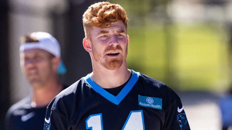 Panthers QB Andy Dalton exits vs. Texans with elbow injury