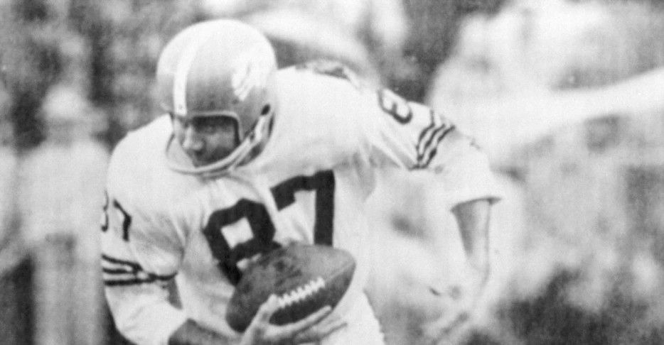 Lionel Taylor should be in the Hall of Fame