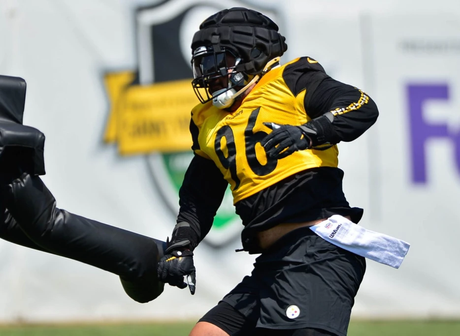 Steelers Cut Ties with Fan Favorite Defensive Lineman