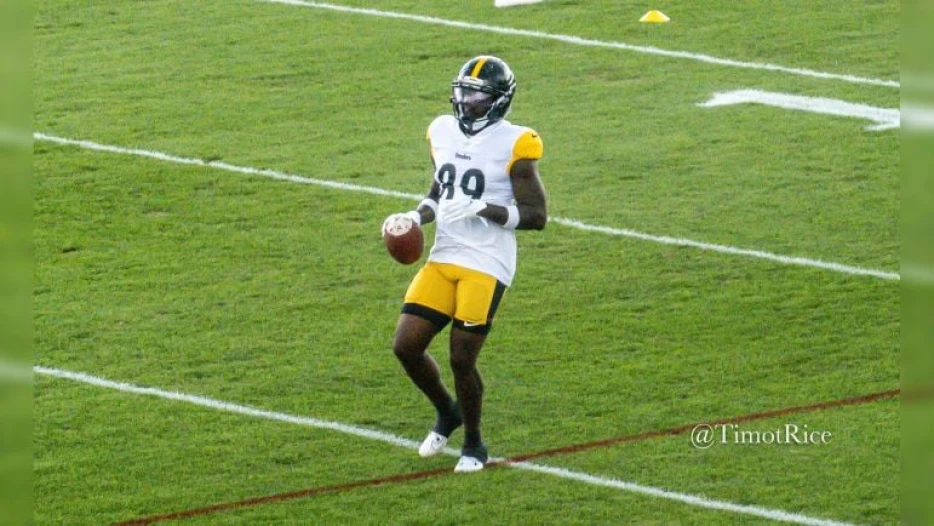 Steelers Release WR Roc Taylor In Flurry Of Roster Moves