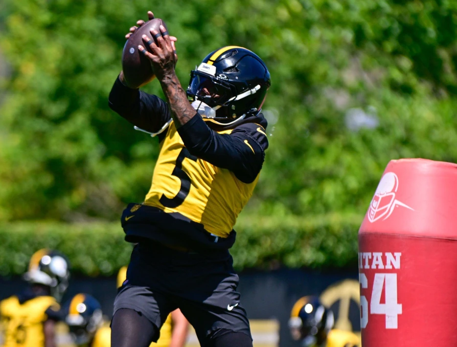 Seven Steelers to Watch in Preseason Finale vs. Panthers