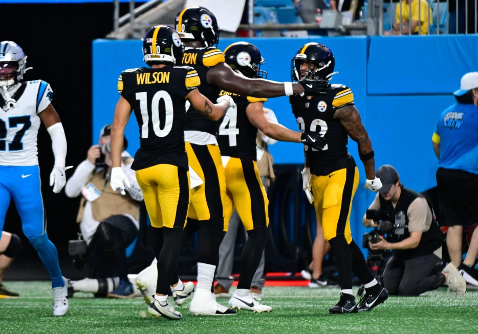 Sloppy Steelers Suffer Major Injury, Beat Panthers 19-10