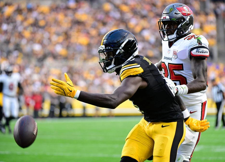 Steelers Wide Receiver Injured vs. Panthers