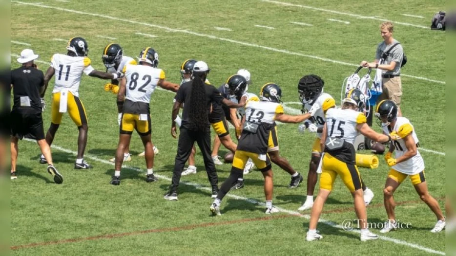 Perspective Of An Average Steelers Fan: Town Hall Prediction