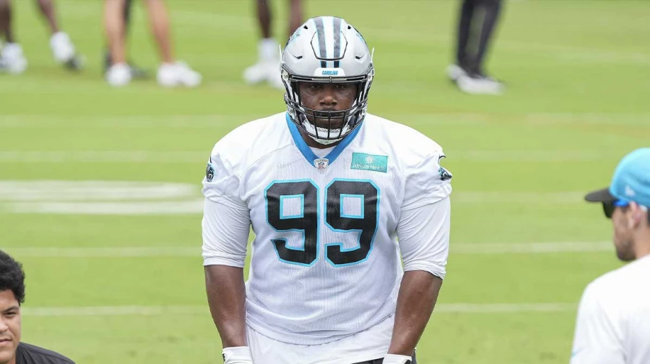 Titans land recently released Panthers DT