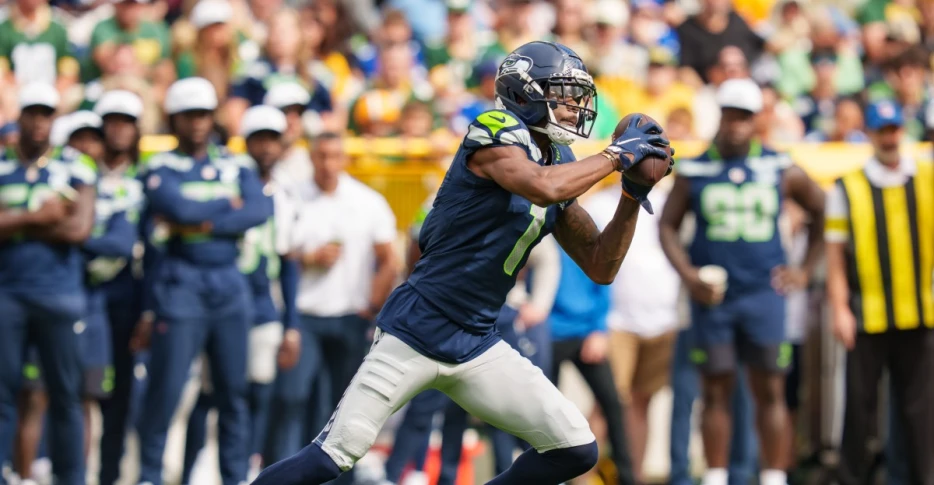 Free agent WR chooses 49ers over Steelers