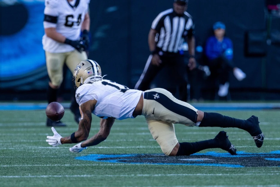 Saints Cut Two Including WR Cedrick Wilson