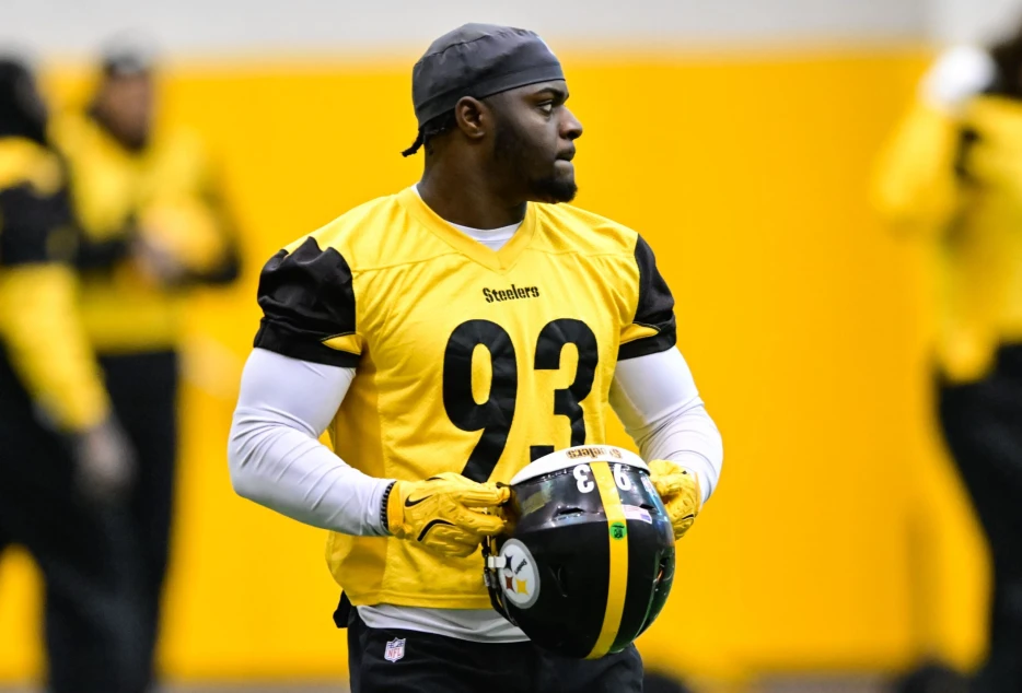 Former Steelers LB Lands with Patriots