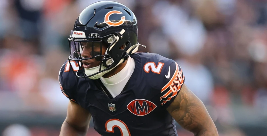 Fantasy Focus Part 3: Top 10 Bears