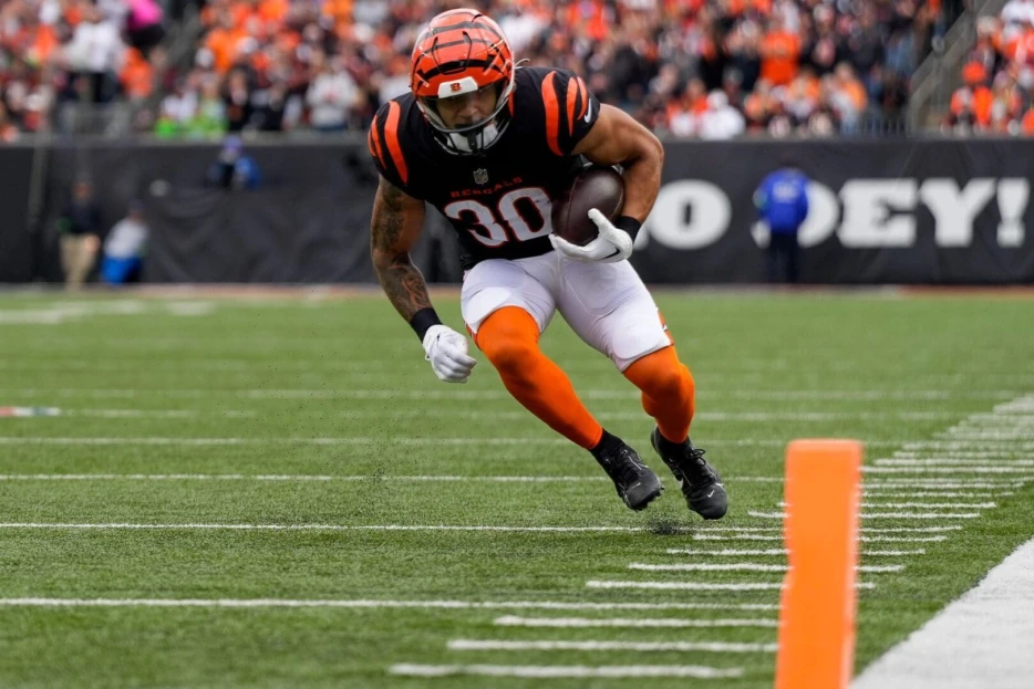 AFC Notes: Chase Brown, Dylan Sampson, Bengals, Browns, Ravens