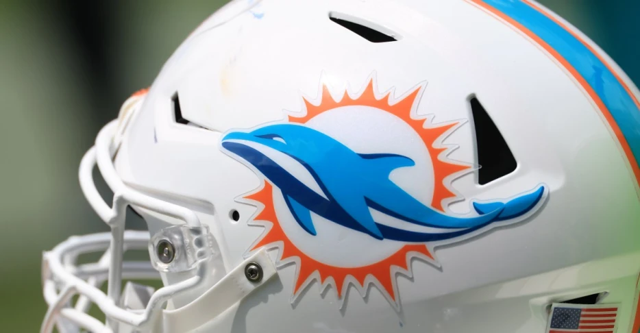 Dolphins Reacts Survey