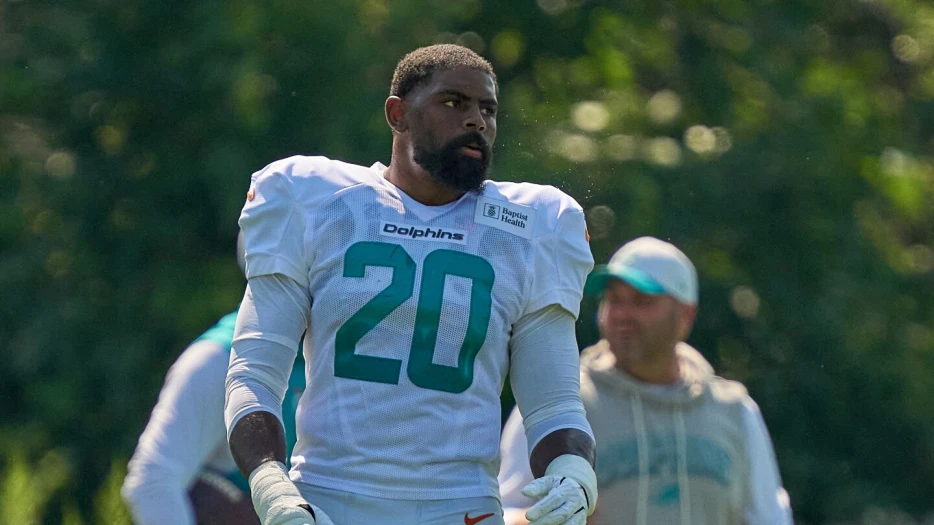 Dolphins LBs Jordyn Brooks, Tyrel Dodson call practice fight &quot;brotherly love&quot;