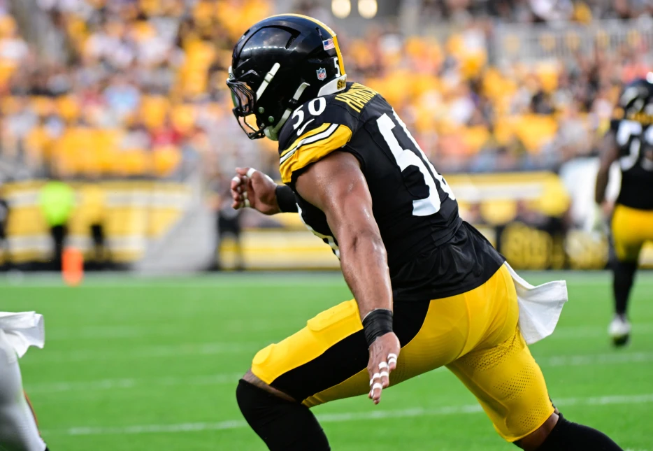 New Steelers Linebacker Lands on IR after Week 1 Injury