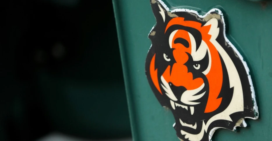 Bengals Reacts Survey Week 2