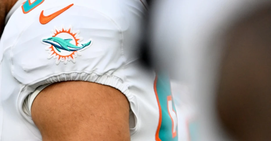 Dolphins Reacts Survey Week 2