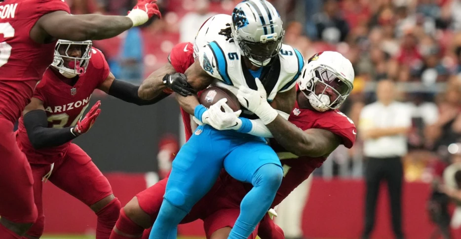Panthers 22 Cardinals 27: The comeback that almost was