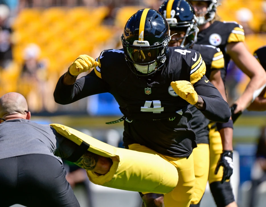 Steelers DK Metcalf Reacts to Loss Against His Former Team