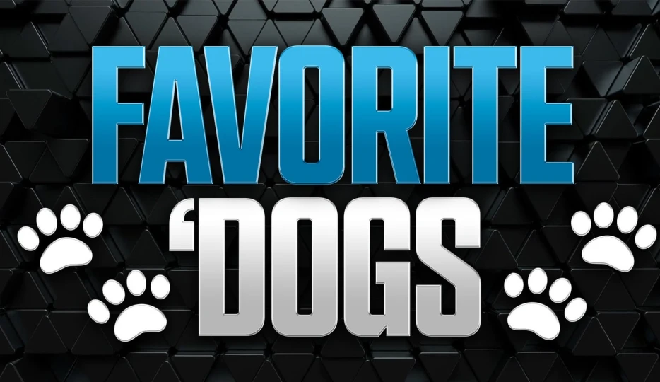 Favorite 'Dogs: Back Joe Burrow-less Bengals to Cover in Minnesota