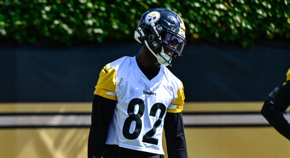 Steelers Cut Wide Receiver after Just One Week with Team