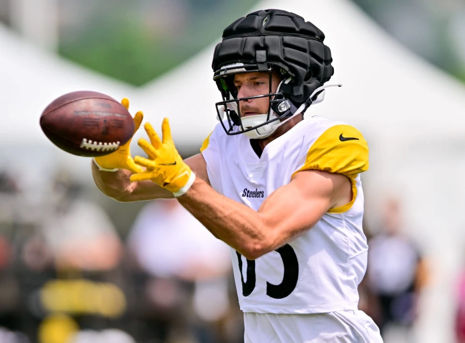 Former Steelers Wide Receiver Lands Back in NFC