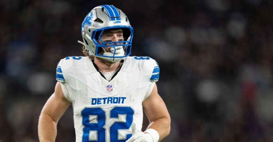 Lions promote TE to active roster, sign vet DL to practice squad