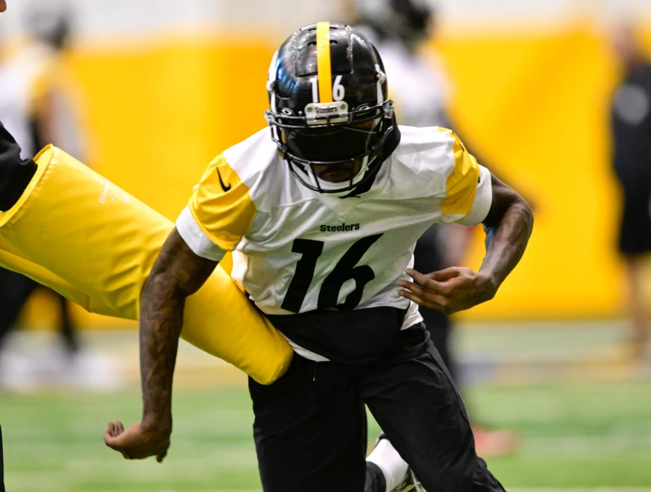 Speedy Ex-Steelers Wide Receiver Joins NFC Contender