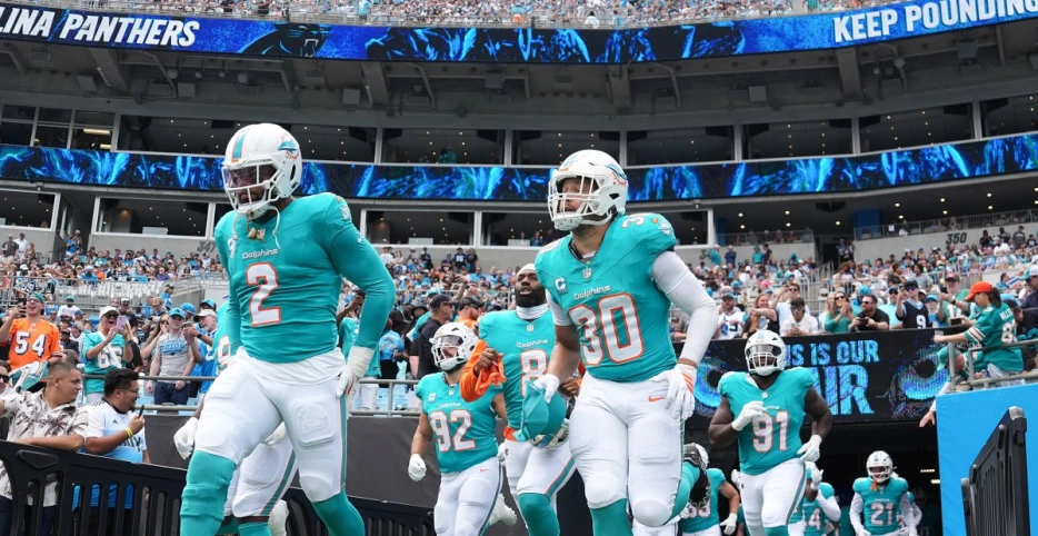 Dolphins Reacts Survey Week 6