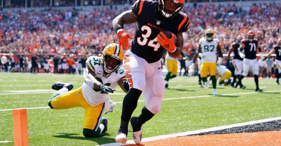 Bengals vs Packers: 5 Questions With Acme Packing Co.