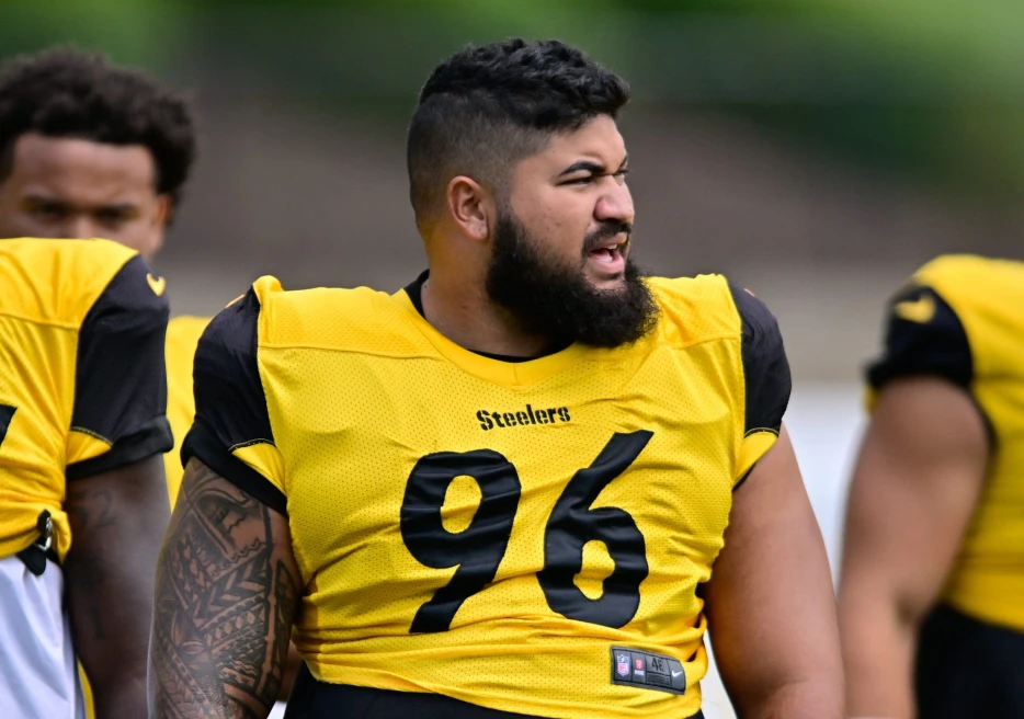 Former Steeler Hopes Team Signs Latest Free Agent Visitor