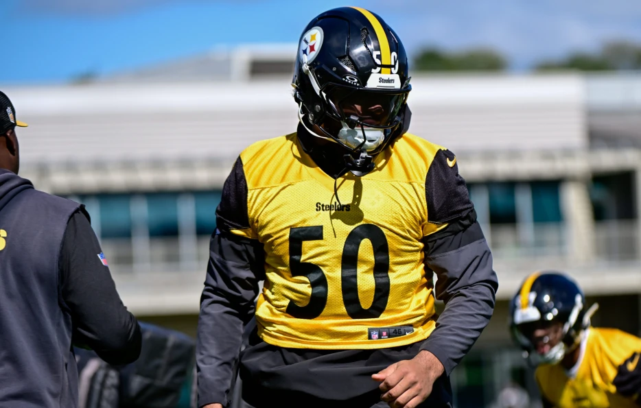 Steelers Get Good News on Injured LB — Could Return vs. Bengals