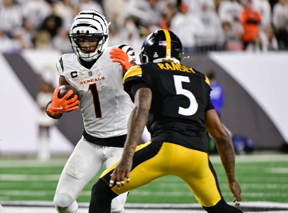 Locked On: Stars and Skulls Grades from Steelers-Bengals