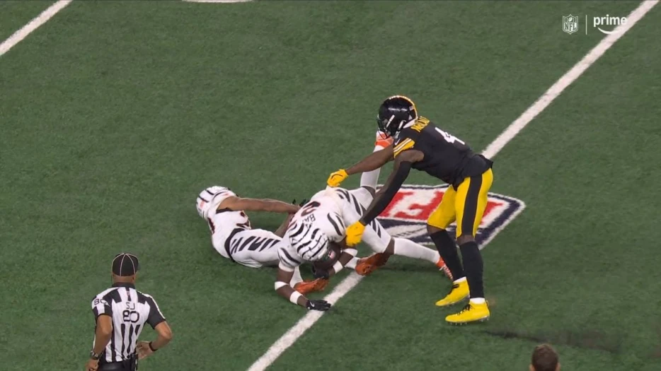 ‘Metcalf’s Fault:’ Anonymous Coach Blames Steelers WR For First INT Against Bengals