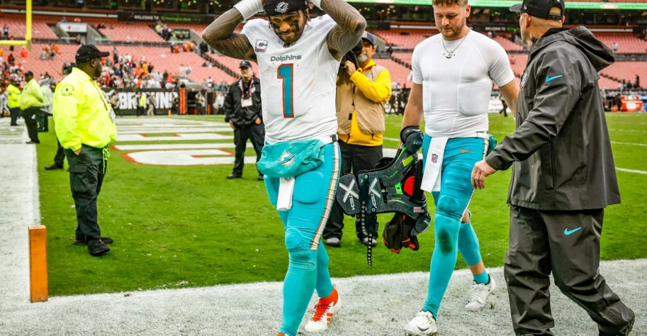 Fins Up, Fins Down | Week Seven