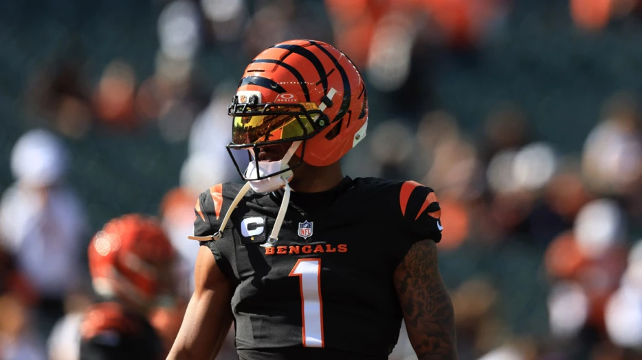 Fantasy Football Wide Receiver Rankings: Week 9 2025