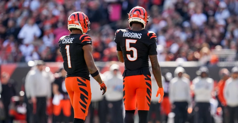 Bengals vs. Bears game time, TV channel, online stream, odds, and predictions