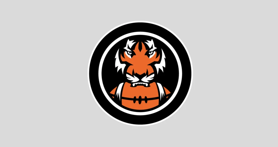 Bears at Bengals Week 9: 5 Questions with Windy City Gridiron