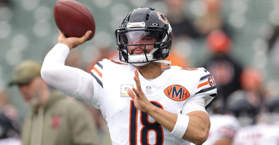 Chicago Bears vs. Cincinnati Bengals Open Thread