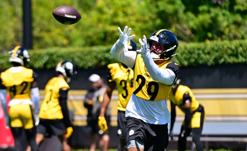 Former Steelers Training Camp Darling Back on Market