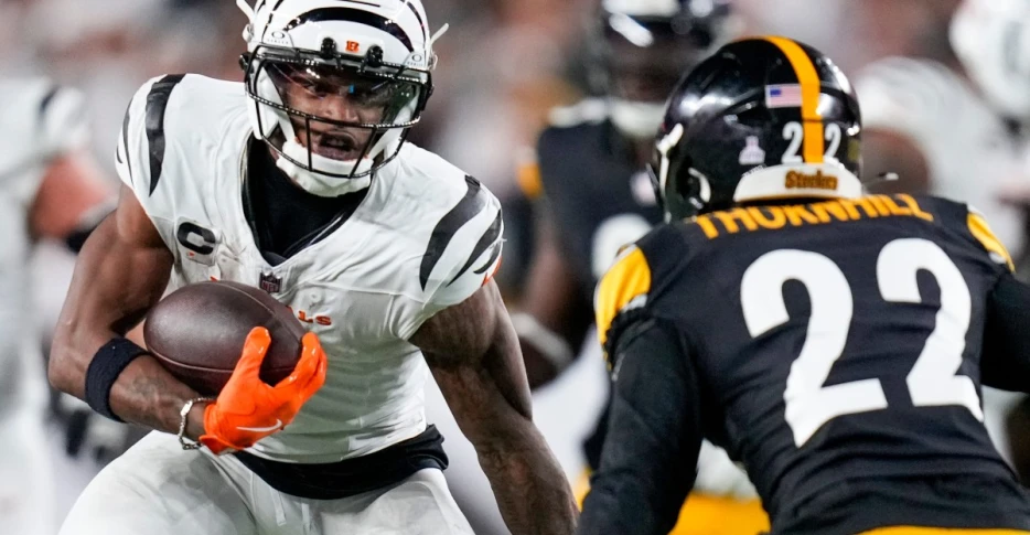 Updated Betting Odds to win the AFC North