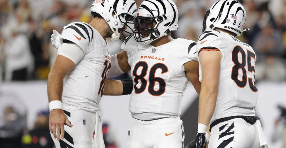 Bengals Snap Counts Mid-Year Check-In