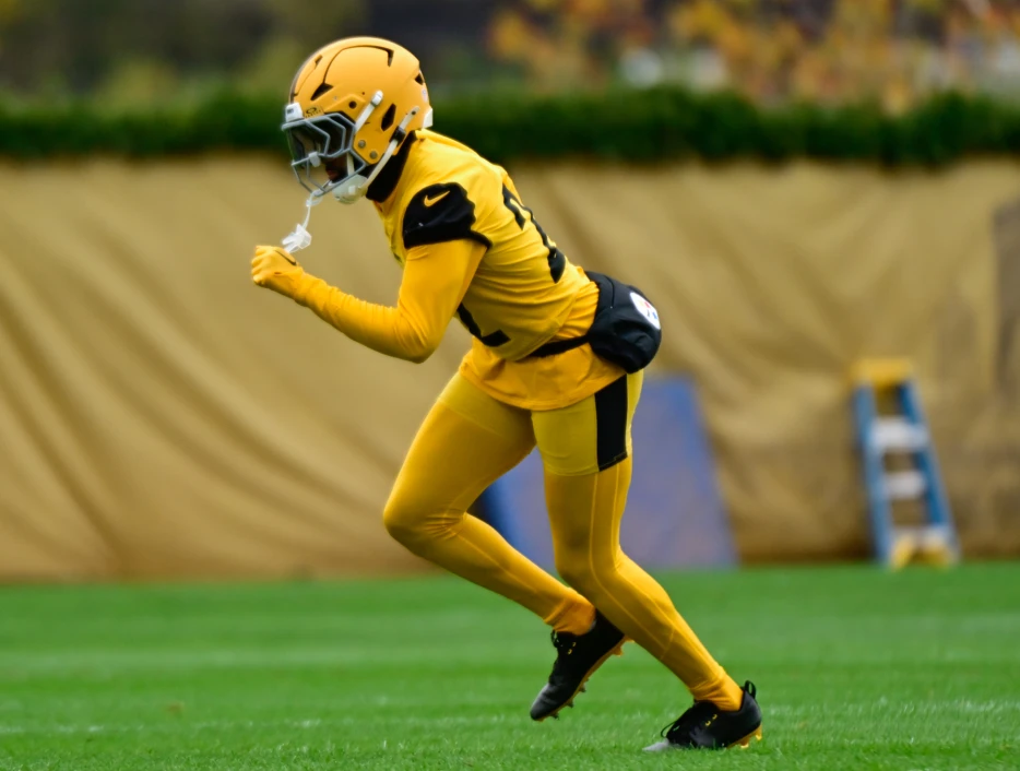 Just-Released Former Steelers Starter Clears Waivers