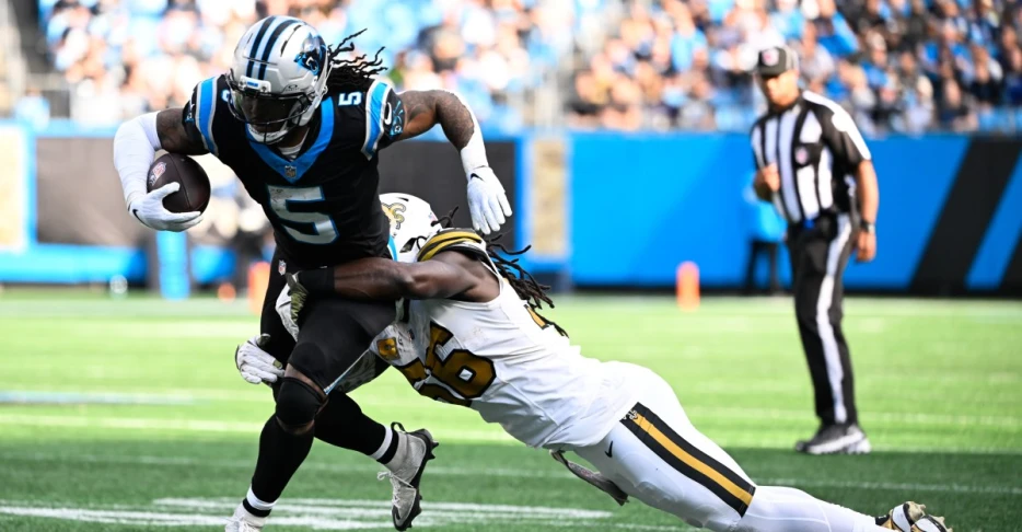 Carolina Panthers fan confidence survey, NFL Week 11