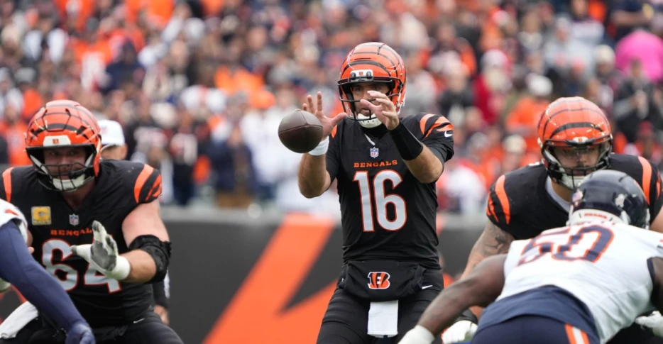 Cincinnati Bengals fan confidence survey, NFL Week 11