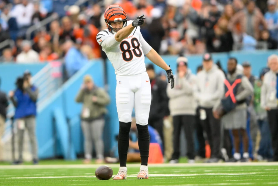 Bengals Designate Mike Gesicki For Return